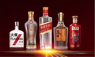 朋友圈再次擴大 時代汽車與五糧液系列酒公司達成戰略合作共識，共拓跨界食品銷售新路徑