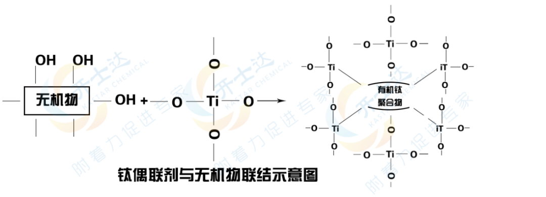 鈦酸酯偶聯(lián)劑連接示意圖.png