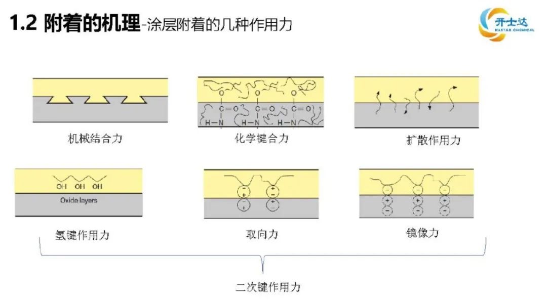 附著的機理.jpg