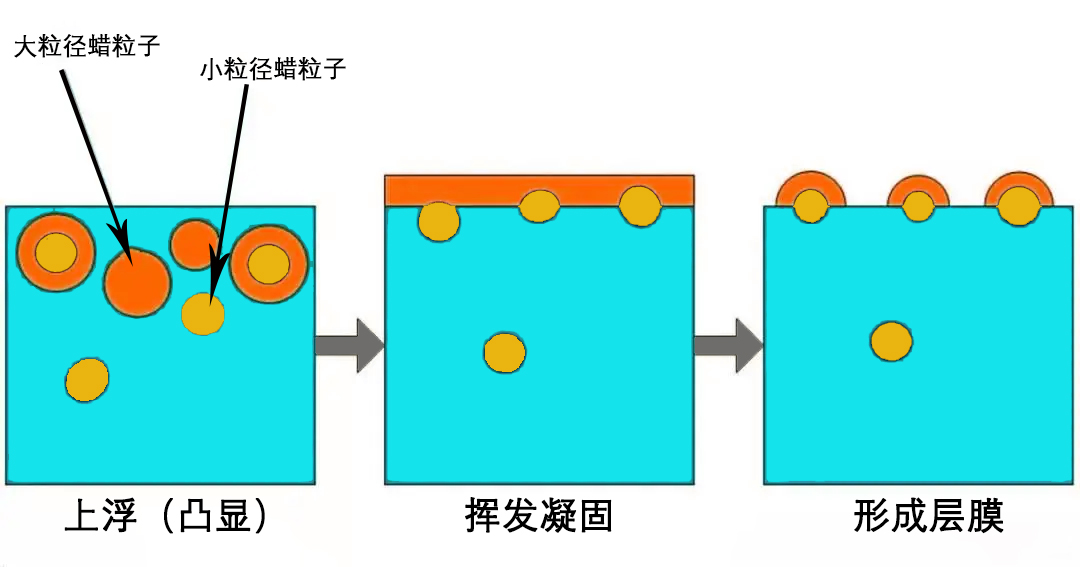 蠟乳液成膜機理.jpg