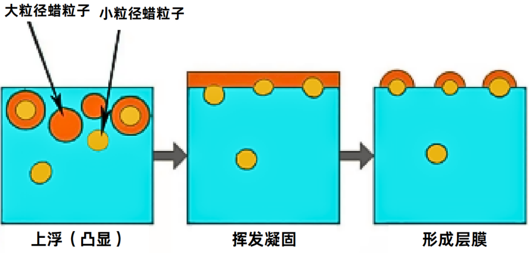 微信圖片_20240517161717.png