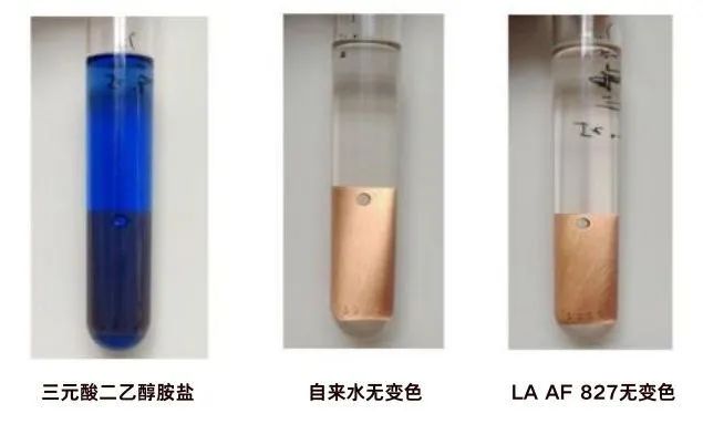 微信圖片_20240520092300.jpg