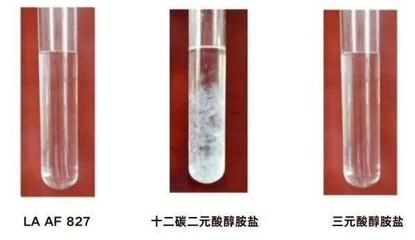微信圖片_20240520092308.jpg