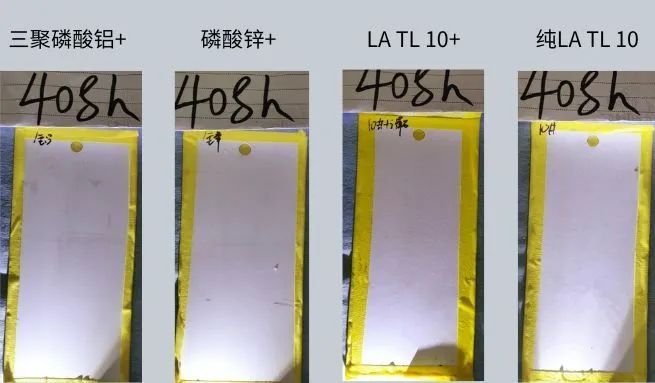 微信圖片_20240520094810.jpg