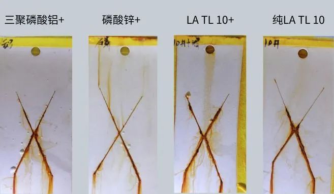 微信圖片_20240520094816.jpg