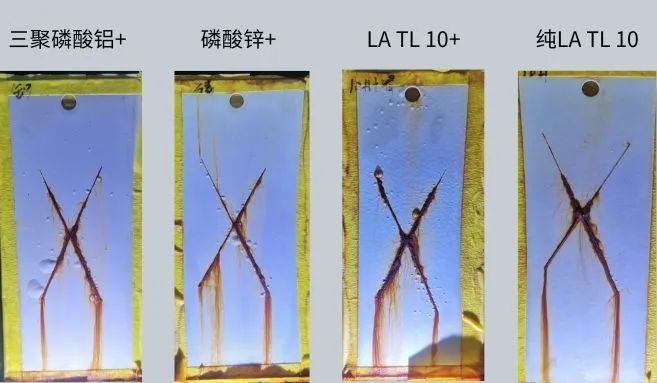 微信圖片_20240520094819.jpg